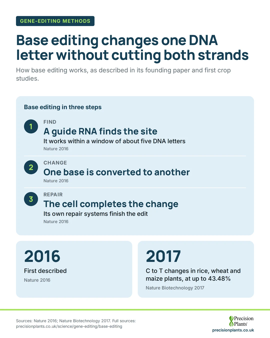 Infographic: base editing in 3 steps: a guide RNA finds the site, one base is converted, the cell completes the change. First described 2016; crops 2017, up to 43.48%.