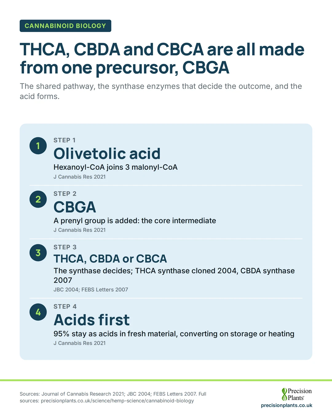 Animation: hexanoyl-CoA and malonyl-CoA form olivetolic acid, then CBGA; synthases make THCA, CBDA or CBCA; 95% are acid forms in fresh material, converting on storage or heating.