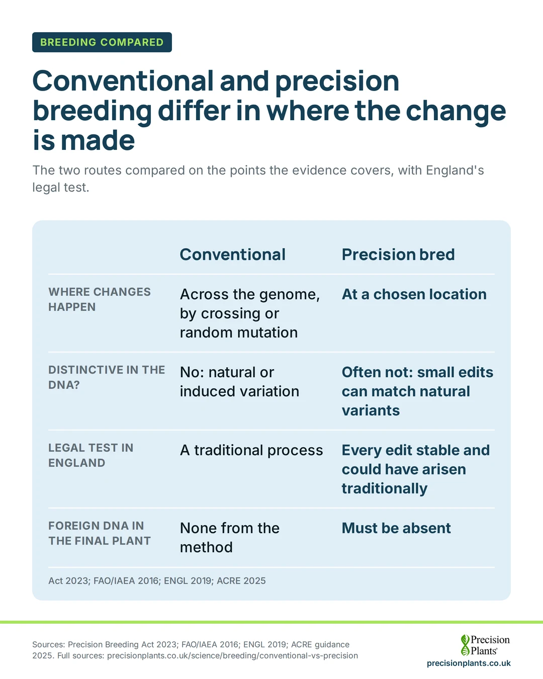 Infographic: conventional breeding changes DNA across the genome; precision breeding at one chosen site, with every edit meeting England's 2023 Act test and no foreign DNA.