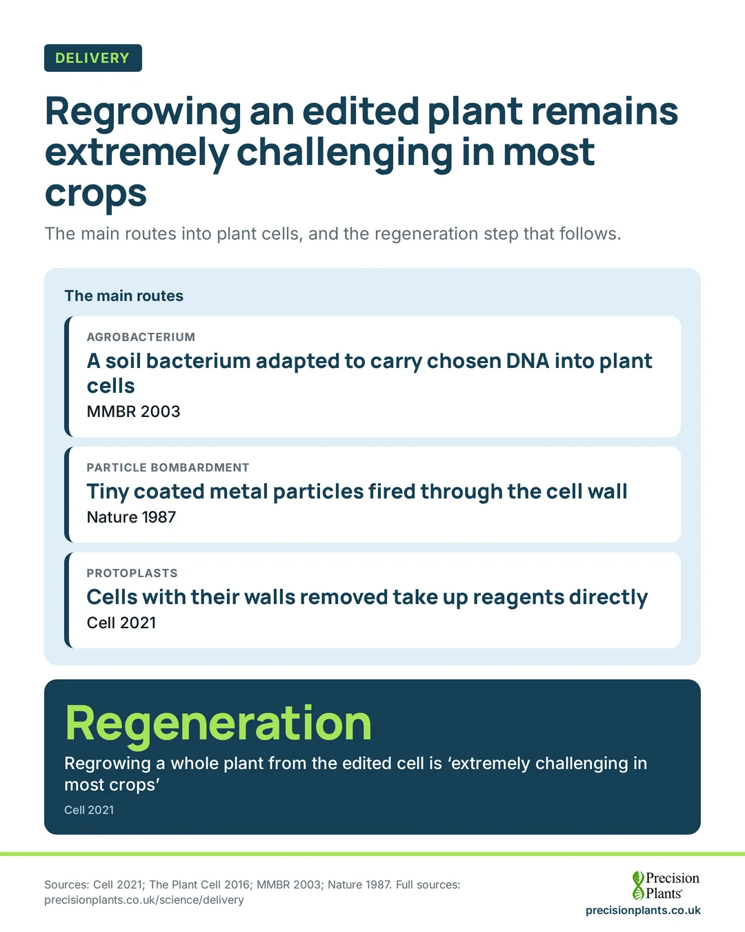 Infographic: 3 main routes into plant cells: Agrobacterium, particle bombardment and protoplasts, 2 in use for over 3 decades; regrowing the plant is extremely challenging.
