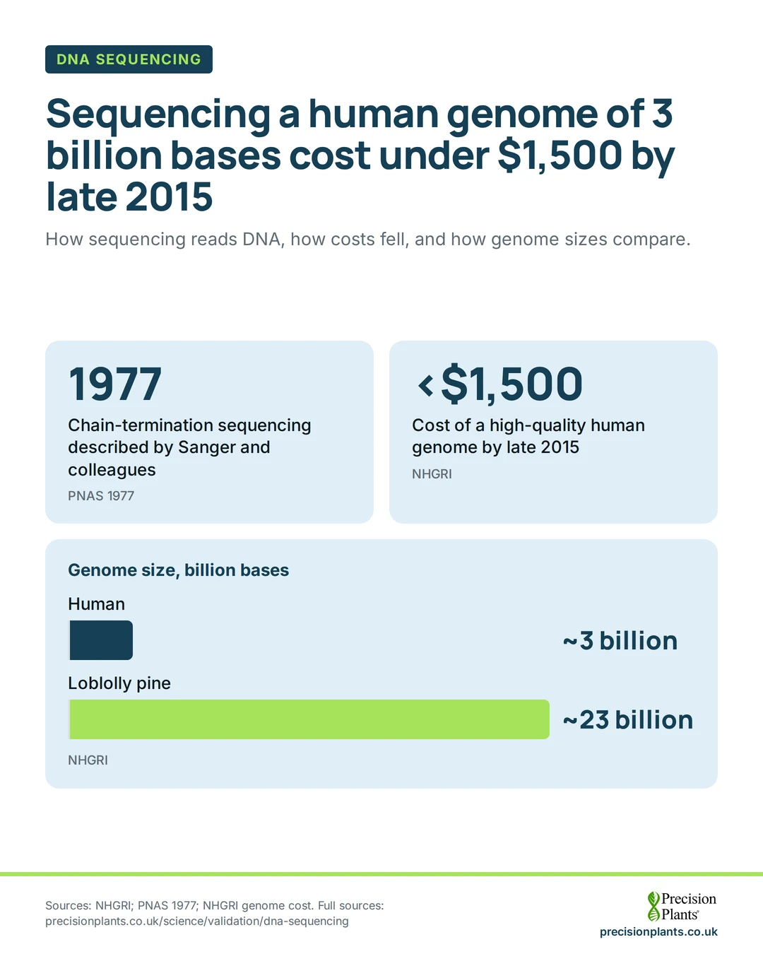 Bar chart: genome size: human about 3 billion bases, loblolly pine about 23 billion. Sanger sequencing was described in 1977; a human genome cost under $1,500 by late 2015.