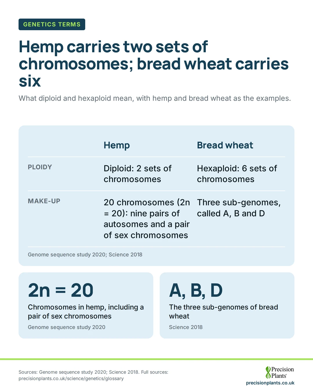 Infographic: hemp is diploid, 2 chromosome sets, 20 chromosomes including a pair of sex chromosomes; bread wheat is hexaploid, 6 sets from sub-genomes A, B and D.