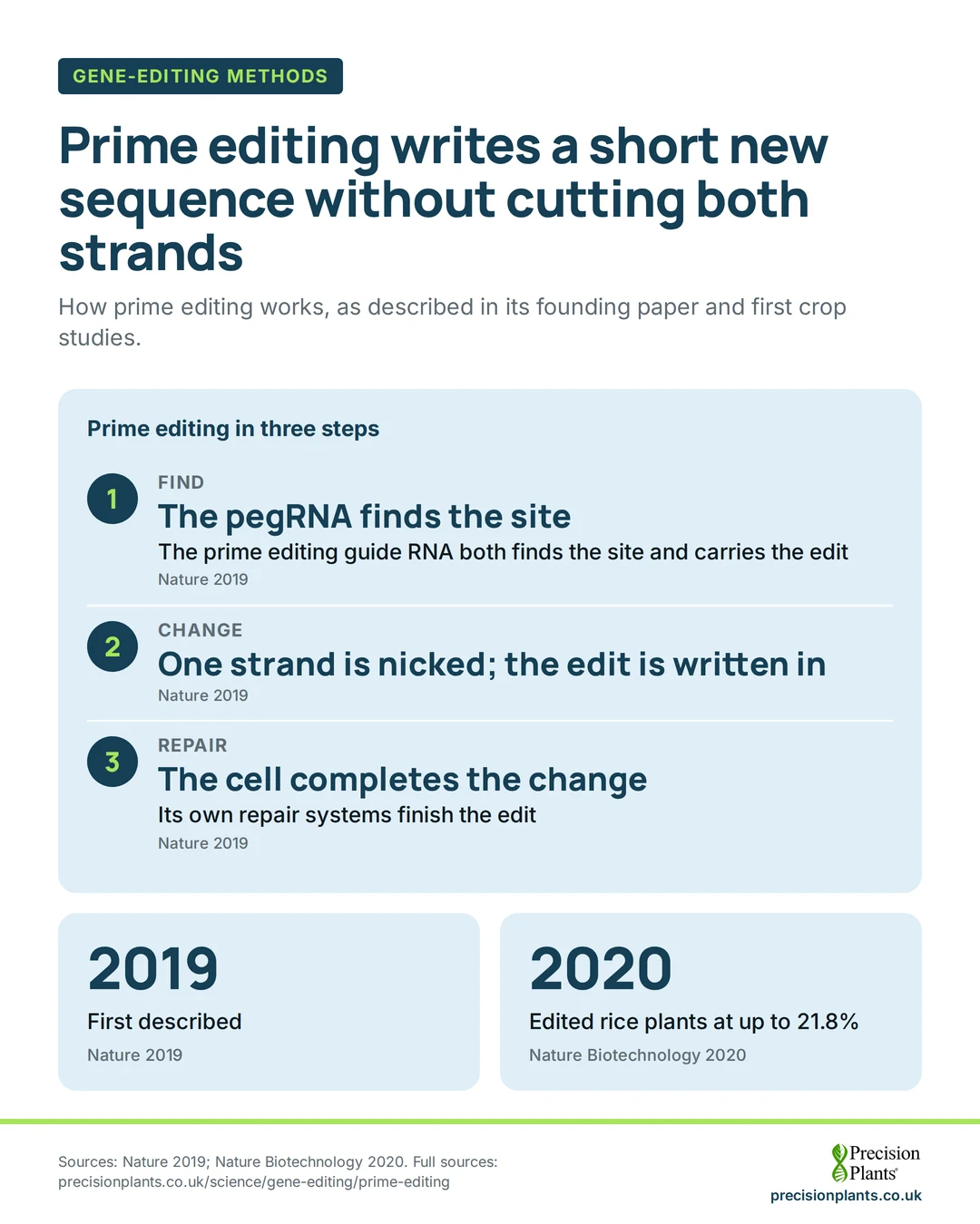 Infographic: prime editing in 3 steps: the pegRNA finds the site, one strand is nicked and the edit written in, the cell completes it. First described 2019; rice 2020.
