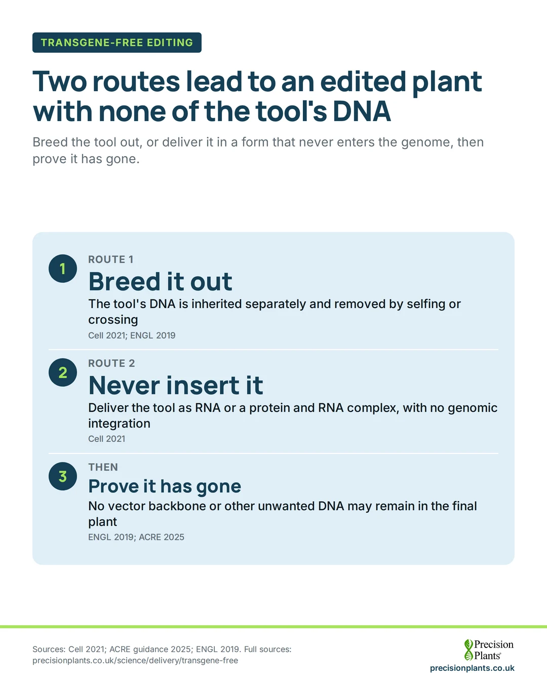 Infographic: 2 routes to a transgene-free plant: breed the tool's DNA out by selfing or crossing, or deliver it as RNA or protein. Then test to confirm it has gone.