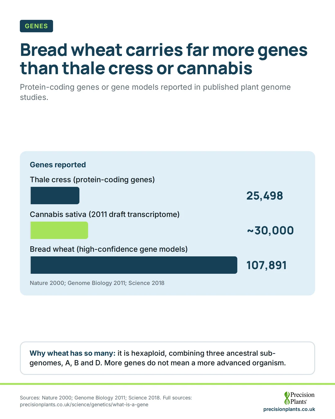 Bar chart: genes reported: thale cress 25,498; Cannabis sativa draft transcriptome, 2011, about 30,000; bread wheat 107,891 high-confidence gene models.