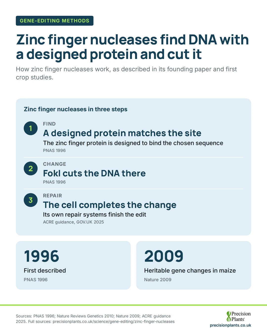 Infographic: zinc finger nucleases in 3 steps: a designed protein matches the site, a FokI domain cuts, the cell repairs it. First described 1996; maize edits 2009.